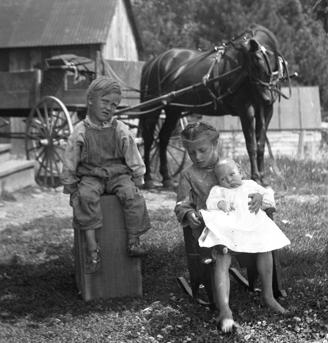 Three children and a horse