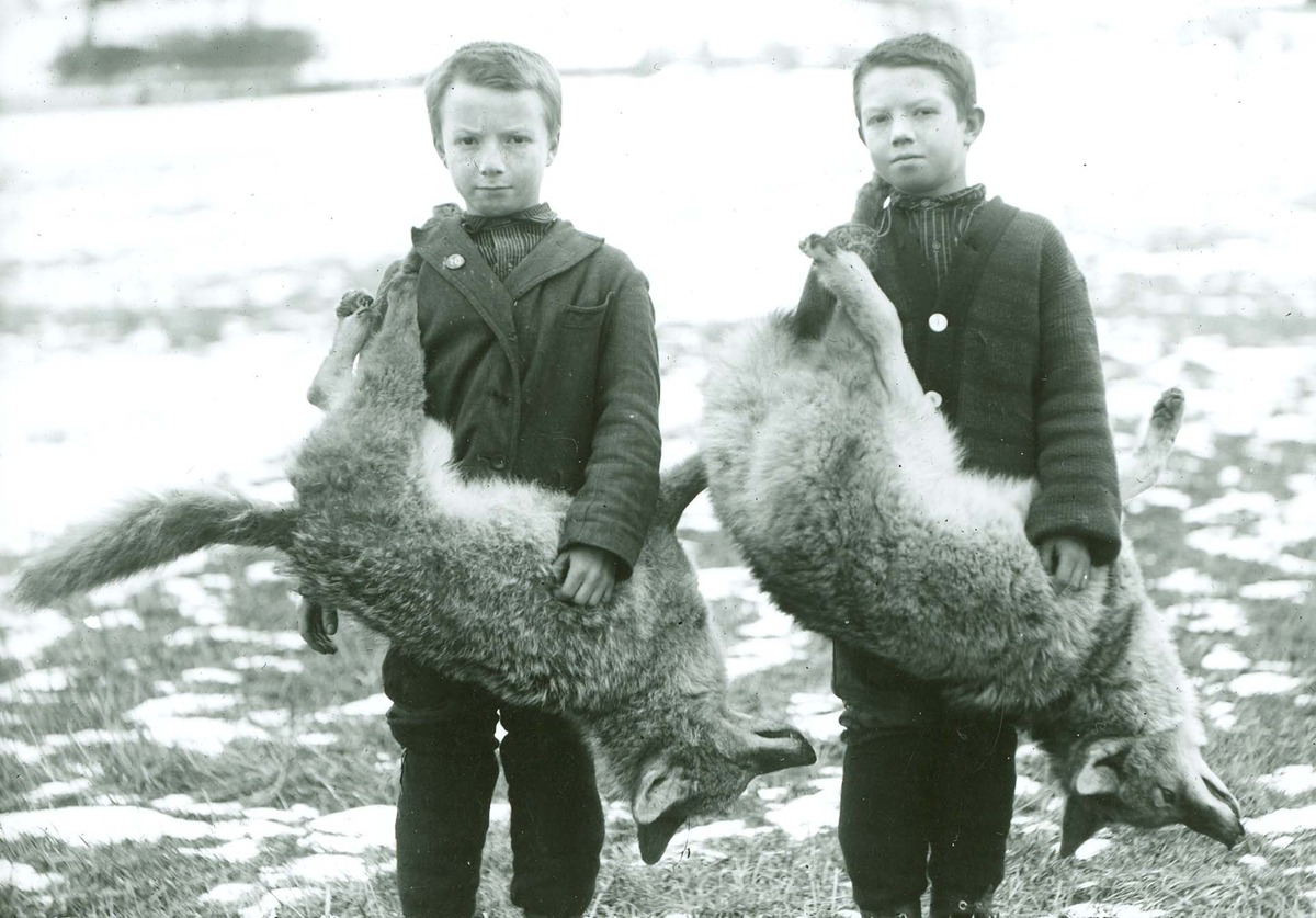 Raymond and Gilbert Lord with dead coyotes