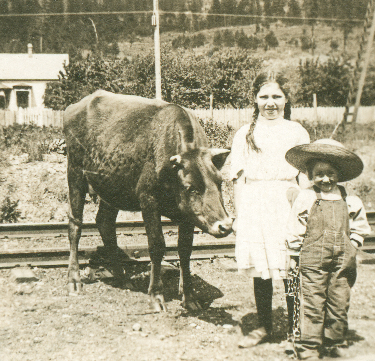 Two children and a cow