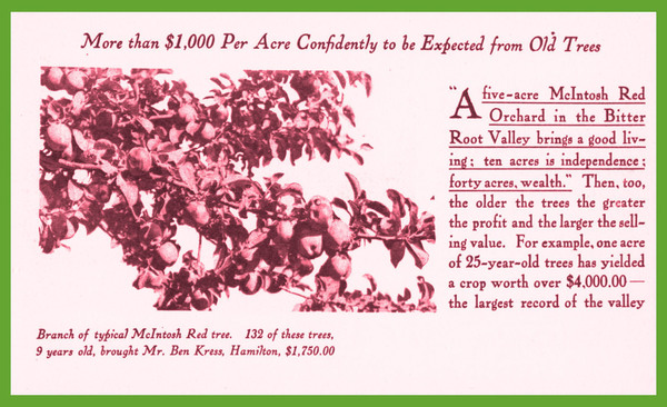 The Famous McIntosh Red of the Bitter Root Valley: An Opportunity for the Nonresident Investor and the Prospective Resident, page 10.