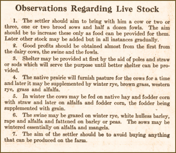 Montana: Homesteads in Three Years, page 35, livestock.