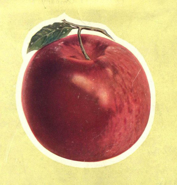 Charlos Heights Orchards in the Bitter Root Valley: The Home of the Famous McIntosh Red Apple, cover, cropped.