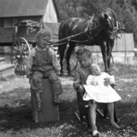 Three children and a horse