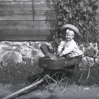 Child in a wagon with a cat.