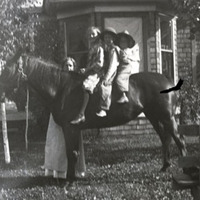 Edith Dunn and the Dunn children on a horse.