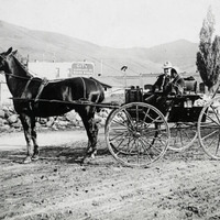 Couple in horse drawn wagon. 