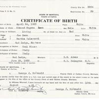 Zann birth certificate compressed.jpg