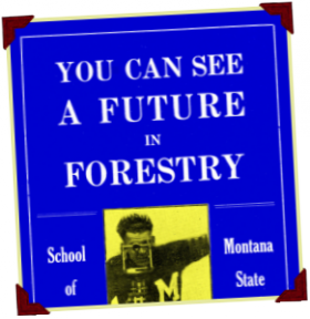 University of Montana Bulletin No. 31, School of Forestry, 1918, 7