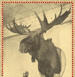 Montana Forestry Club Handbook, 1954-1955
