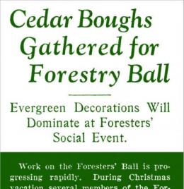 "Cedar Boughs Gathered for Forestry Ball," Kaimin, January 9, 1931