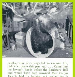 The Sentinel, 1955, 145