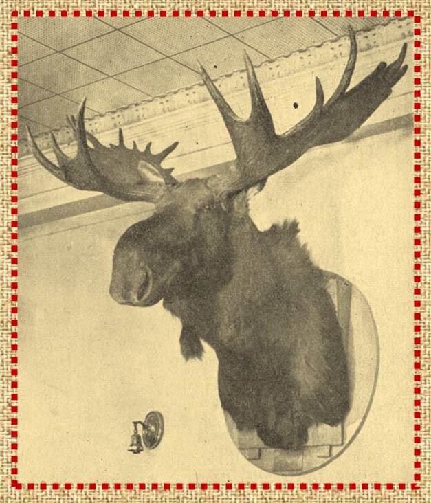 Montana Forestry Club Handbook, 1954-1955