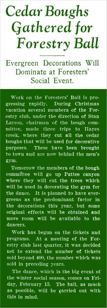 "Cedar Boughs Gathered for Forestry Ball," Kaimin, January 9, 1931