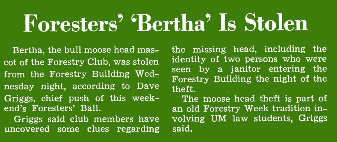 "Foresters' Bertha is Stolen," Kaimin, November 7, 1969